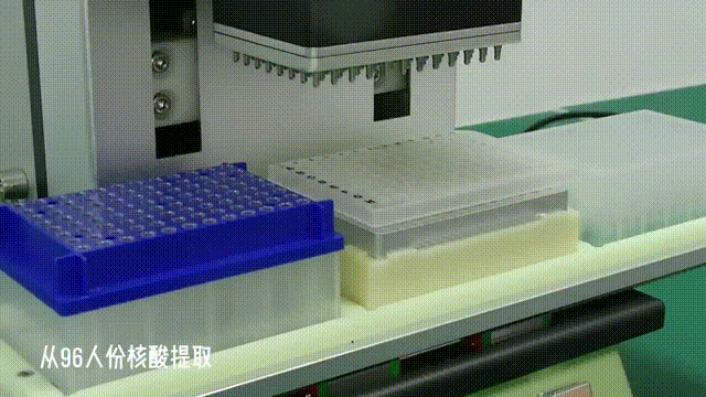 96人份核算提取.gif