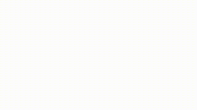 autopet-H9 开头.gif